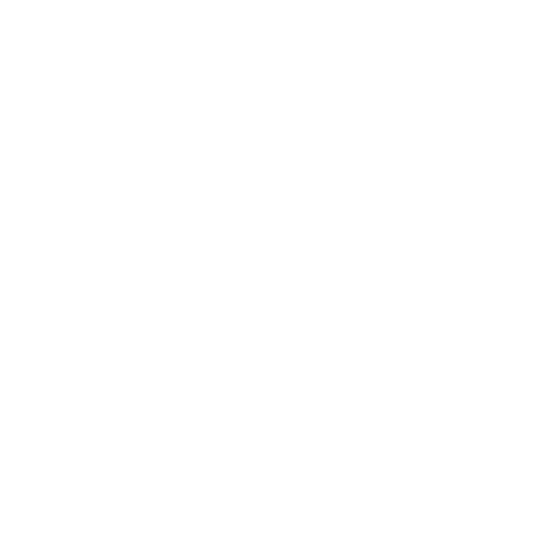 SMARTERS CONSULTING